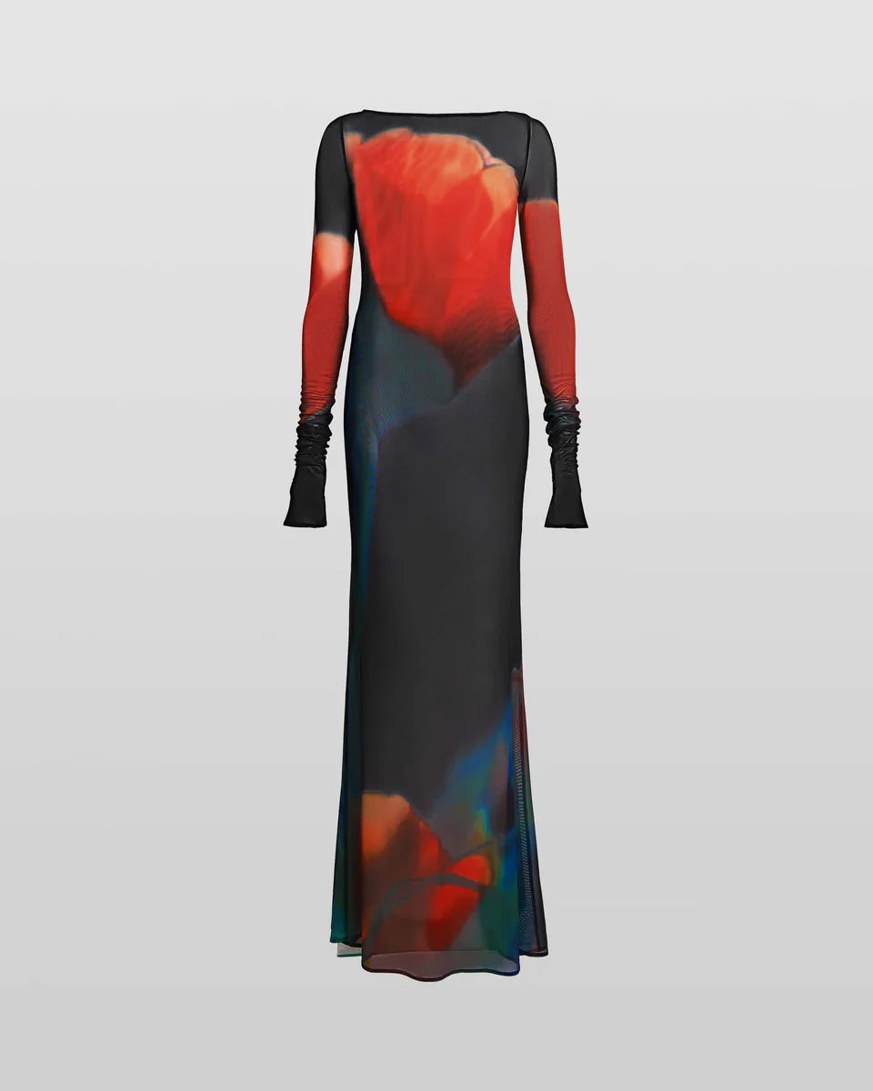 Laionara Dress