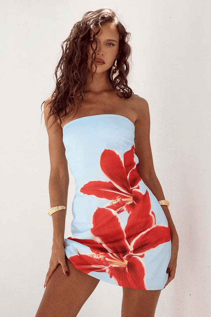 Dakota Dress